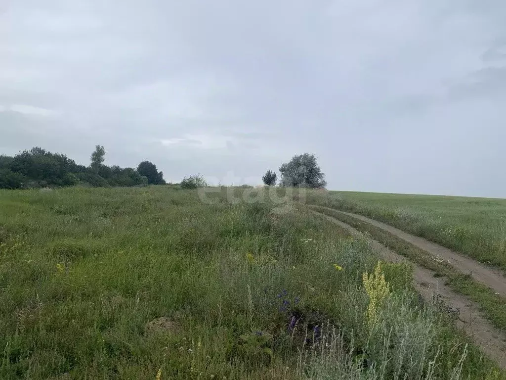 Участок в Белгородская область, Белгородский район, Комсомольское ... - Фото 1