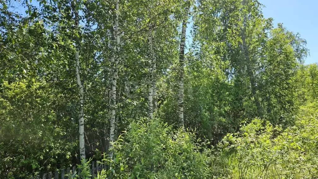Участок в Тюменская область, Тюменский район, Лесник-2 СНТ ул. 1-я ... - Фото 1