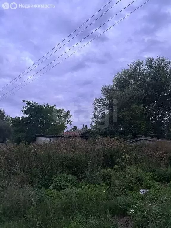 Участок в Саранск, СТ Заря (4 м) - Фото 2