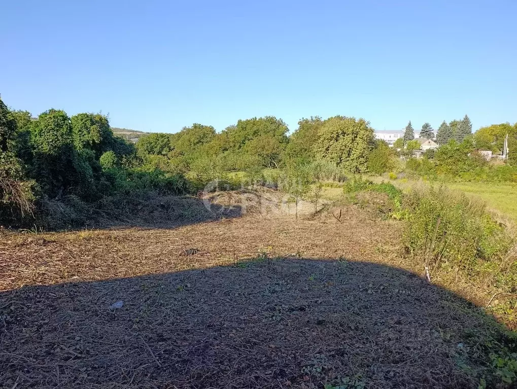 Участок в Краснодарский край, Анапа муниципальный округ, Чекон хут. ... - Фото 1