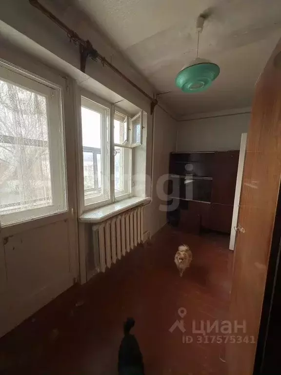 Комната Ростовская область, Ростов-на-Дону пос. Чкаловский, пер. ... - Фото 1