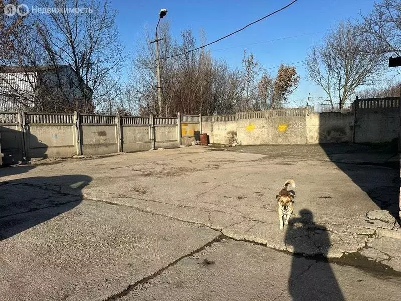 Помещение свободного назначения (30 м) - Фото 2