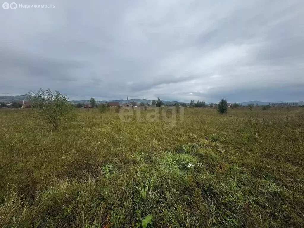 Участок в Советский район, село Шульгин Лог (12 м) - Фото 2