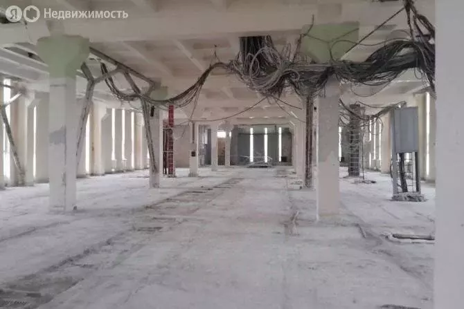 Помещение свободного назначения (135 м) - Фото 1