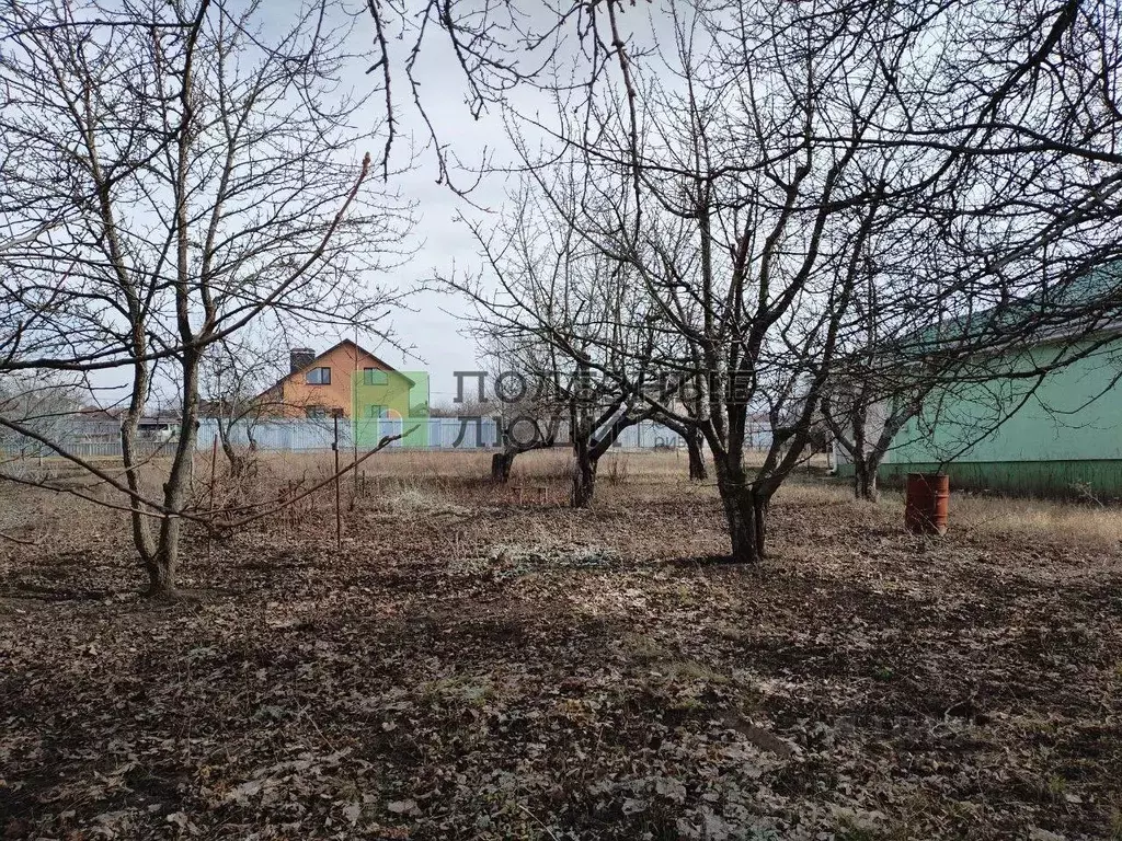Участок в Белгородская область, Белгородский район, Никольское с/пос, ... - Фото 1