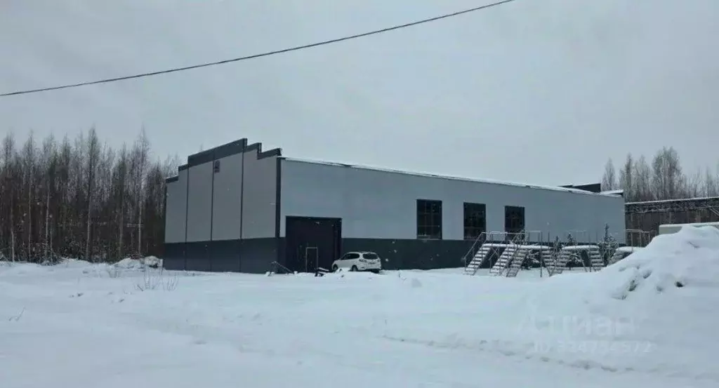 Производственное помещение в Ленинградская область, Всеволожск ул. ... - Фото 1