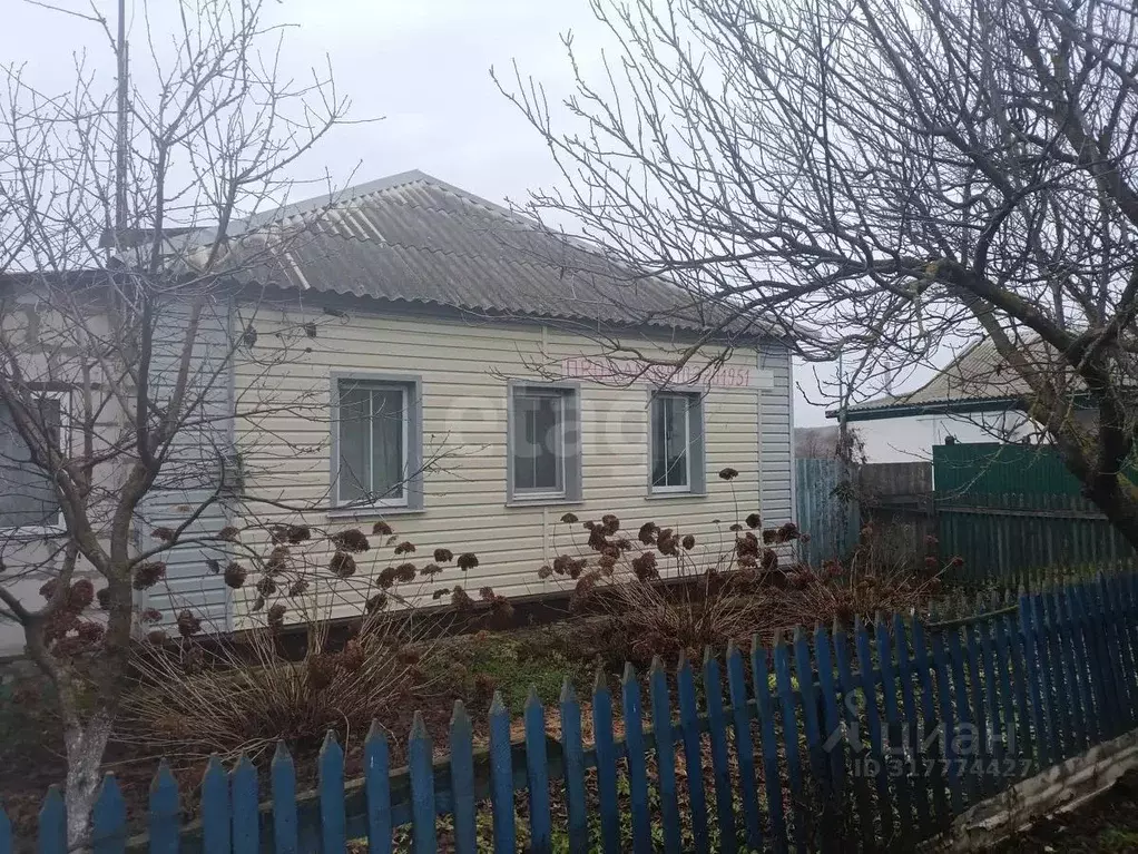Дом в Белгородская область, Вейделевский район, с. Белый Колодезь ул. ... - Фото 1