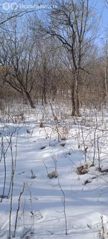 Участок в посёлок Боец Кузнецов, Первомайская улица, 7 (7.79 м) - Фото 1