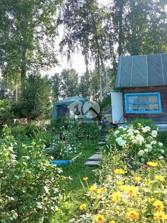 Дом в Новосибирская область, Мошковский район, Жилстроевец СНТ 194 (40 ... - Фото 1