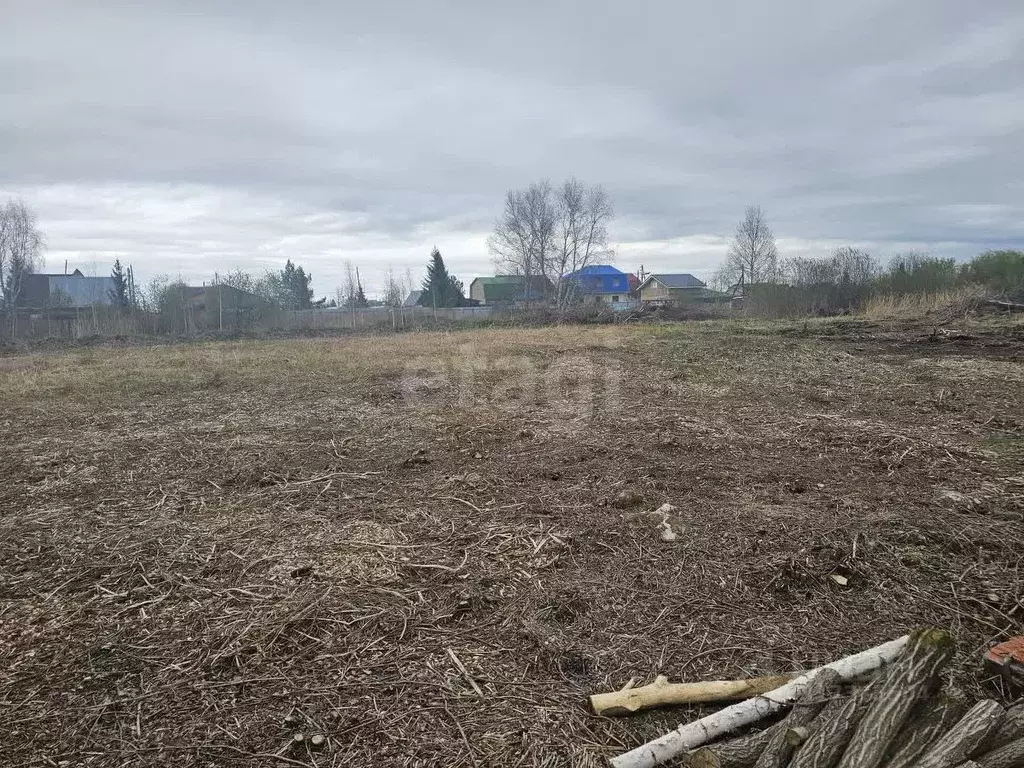 Участок в Тюменская область, Тюмень Ясень садовое товарищество, ул. ... - Фото 1