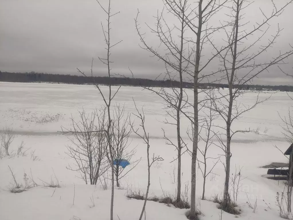 Участок в Новгородская область, Демянский муниципальный округ, д. ... - Фото 1