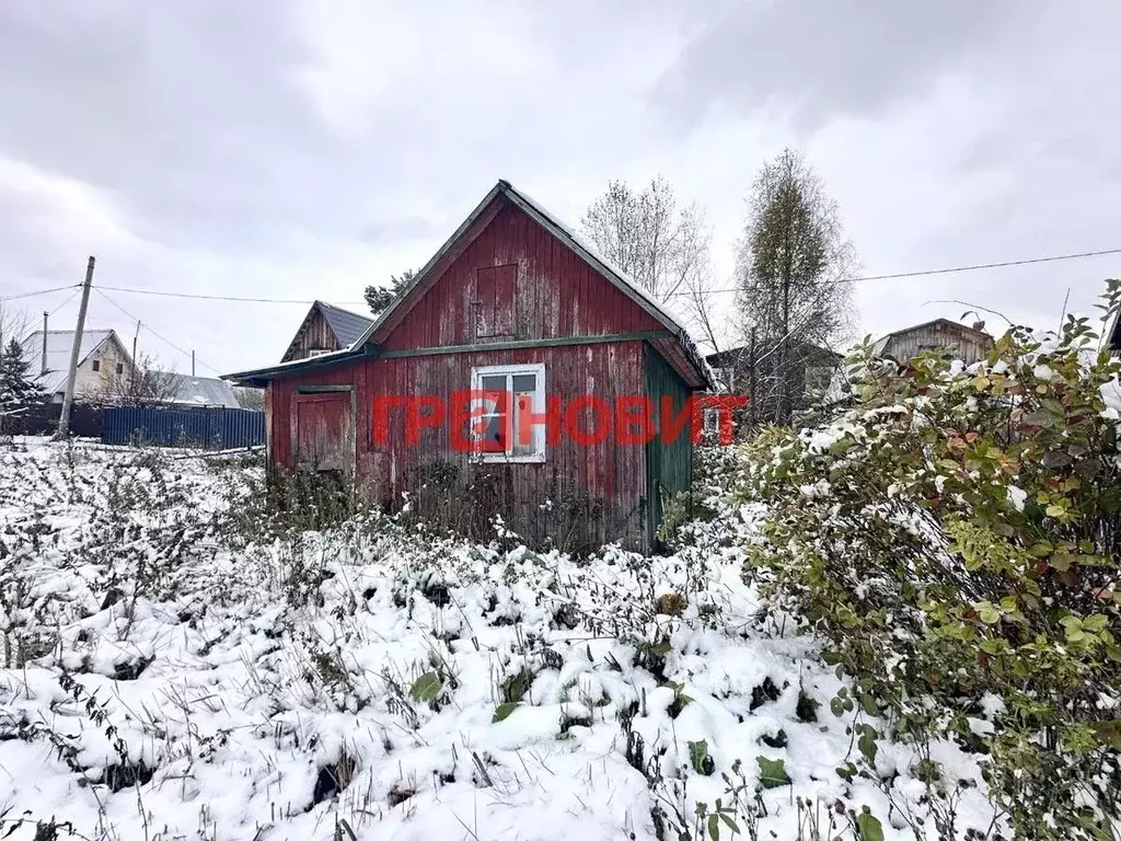 Участок в Новосибирская область, Искитимский район, Мичуринский ... - Фото 1