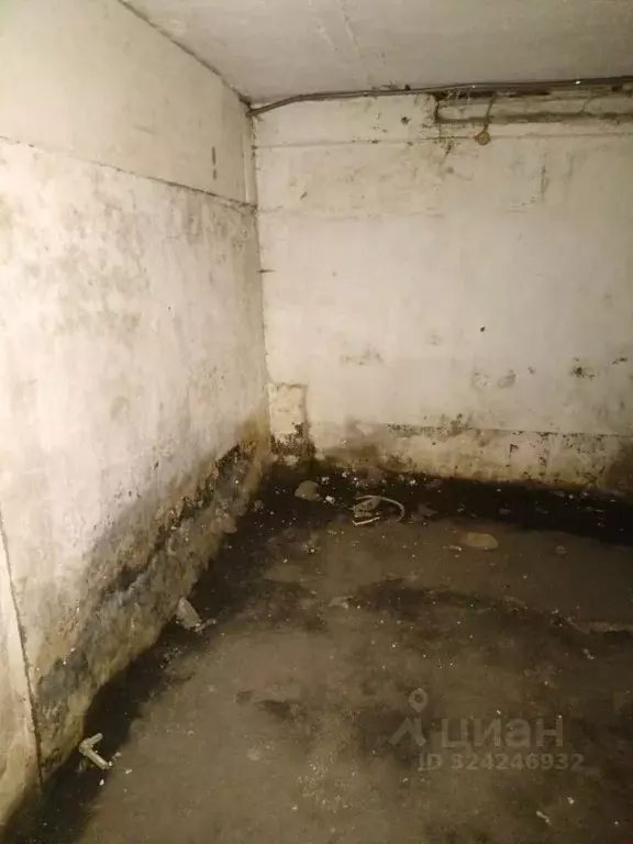 Помещение свободного назначения в Омская область, Омск Привокзальный ... - Фото 2