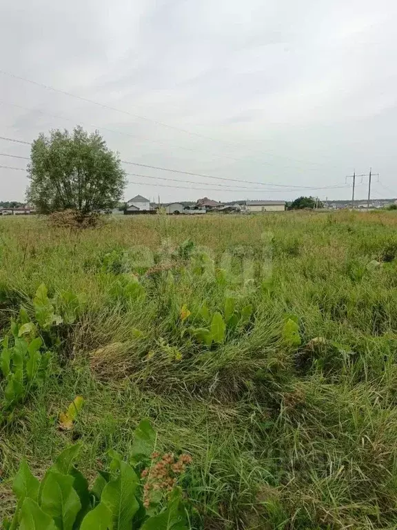 Участок в Курская область, Курский район, Моковский сельсовет, д. ... - Фото 1