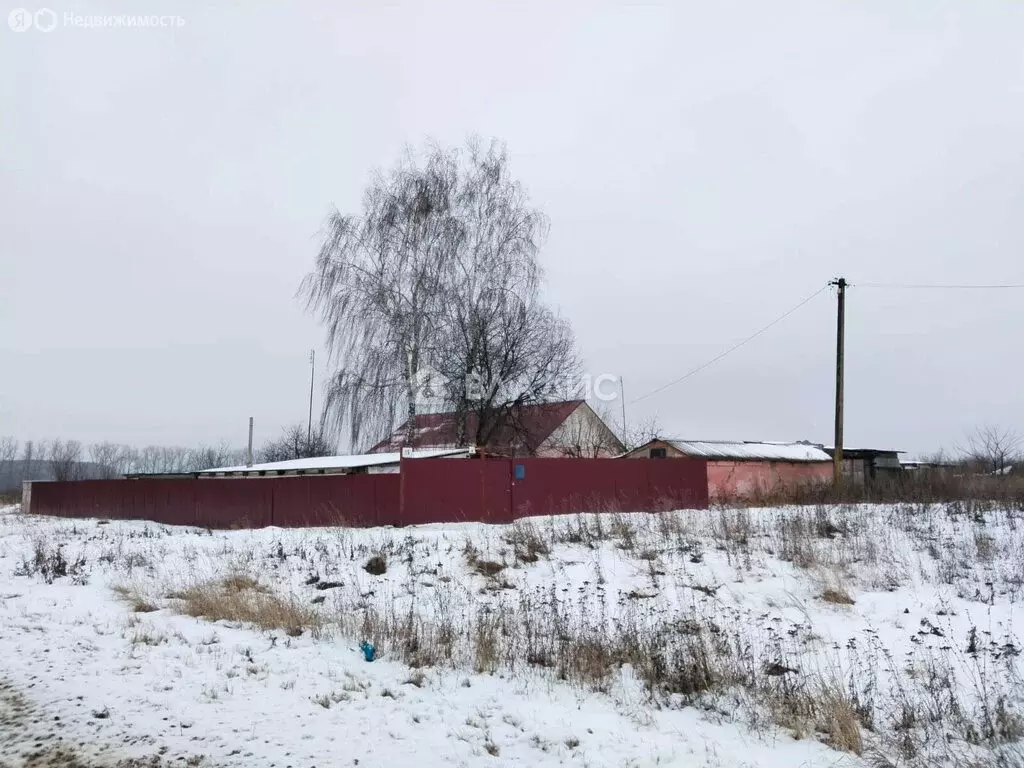 Дом в Московская область, городской округ Зарайск, деревня Летуново ... - Фото 0