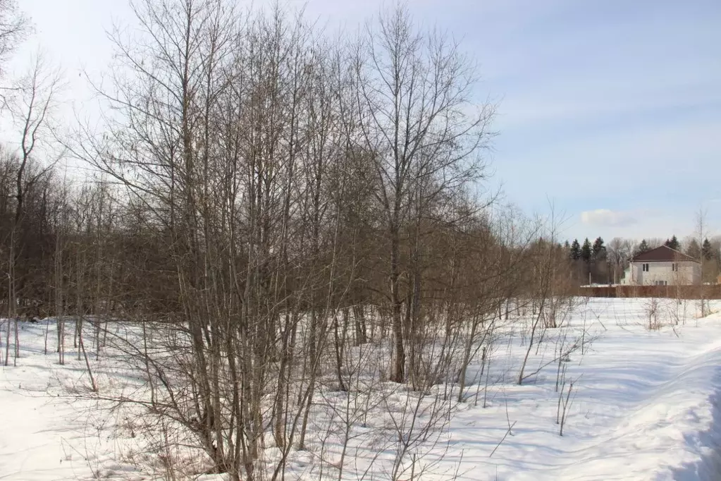 Участок в Московская область, Шаховская муниципальный округ, д. ... - Фото 2
