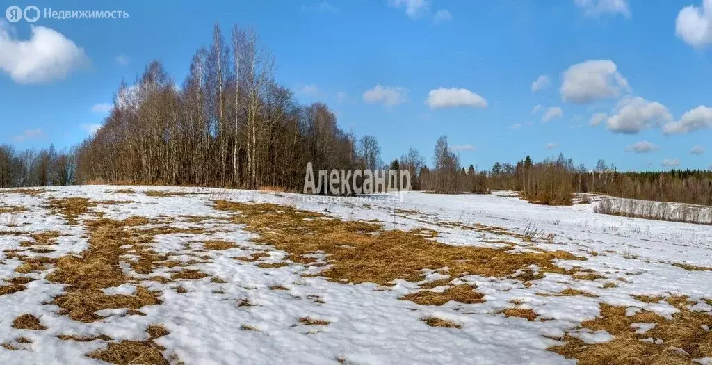 Участок в Большелуцкое сельское поселение, деревня Большой Луцк (10 м) - Фото 1