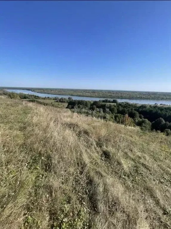 Участок в Владимирская область, Меленковский муниципальный округ, с. ... - Фото 0