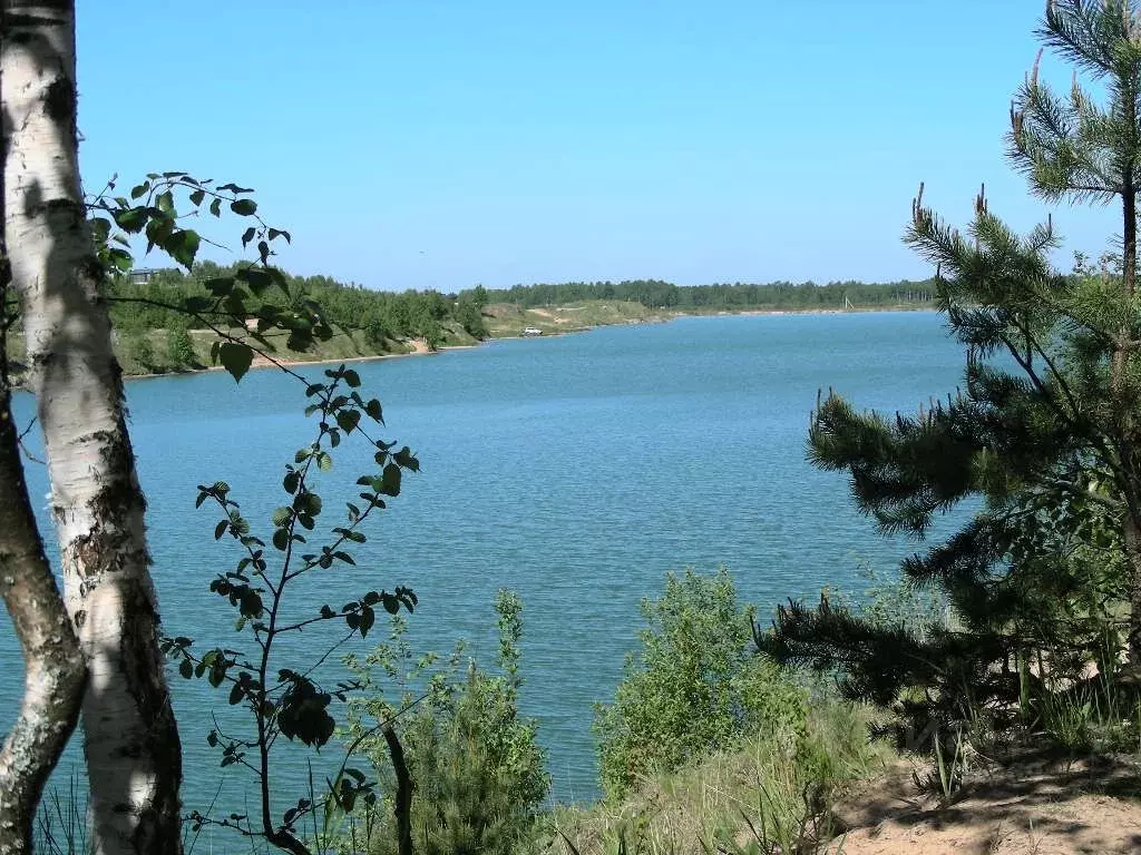 Участок в Ленинградская область, Кировский район, Мгинское городское ... - Фото 0