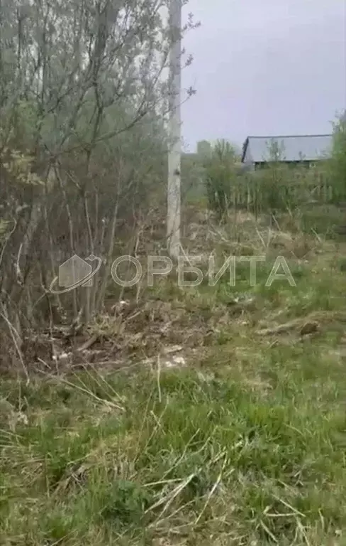 Участок в Тюменская область, Голышмановский муниципальный округ, с. ... - Фото 2