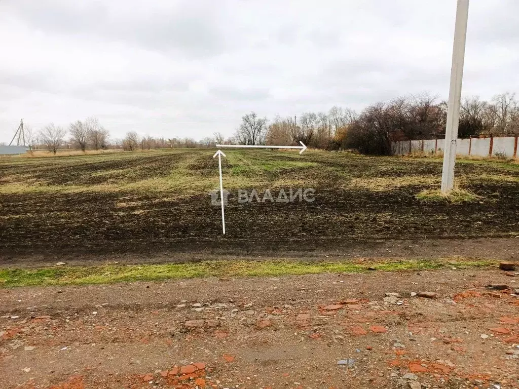 Участок в Краснодарский край, Ейский район, Ясенская ст-ца Шиловская ... - Фото 1