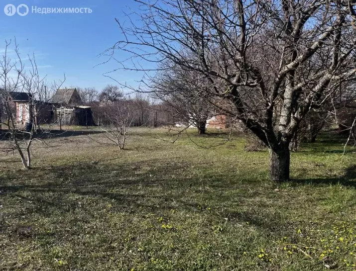 Участок в Ейск, СНТ Восход, 12 (5 м) - Фото 1