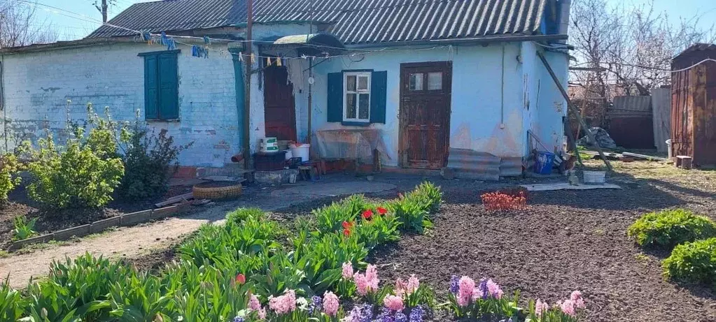 Дом в Ростовская область, Неклиновский район, Поляковское с/пос, ... - Фото 1