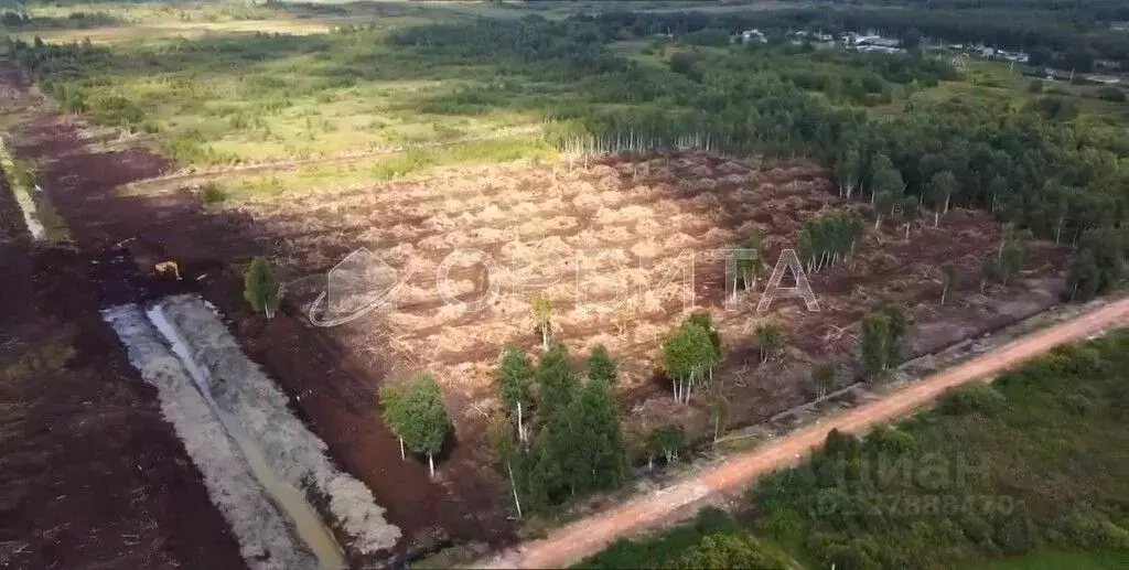 Участок в Тюменская область, Нижнетавдинский муниципальный округ, ... - Фото 1