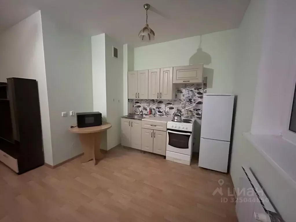 Студия Свердловская область, Екатеринбург ул. Парниковая, 6 (26.8 м) - Фото 2