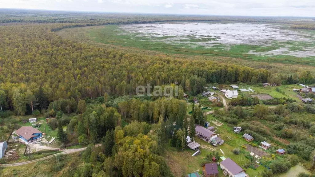 Участок в Тюменская область, Нижнетавдинский район, д. Аракчина ... - Фото 1