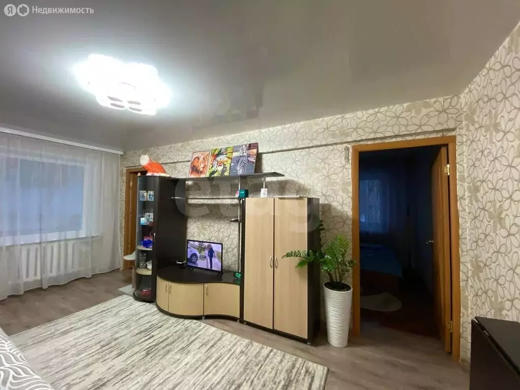 3-комнатная квартира: село Сигаево, Трудовая улица, 1 (50.7 м) - Фото 2