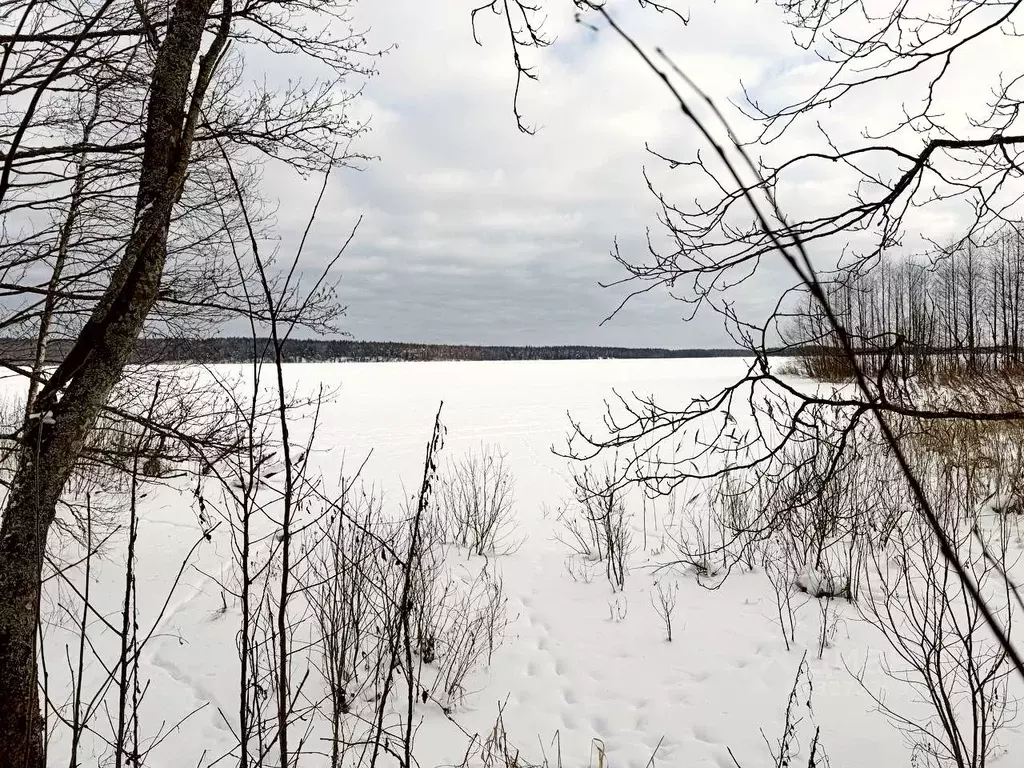 Участок в Ленинградская область, Выборгский район, Полянское с/пос, ... - Фото 1