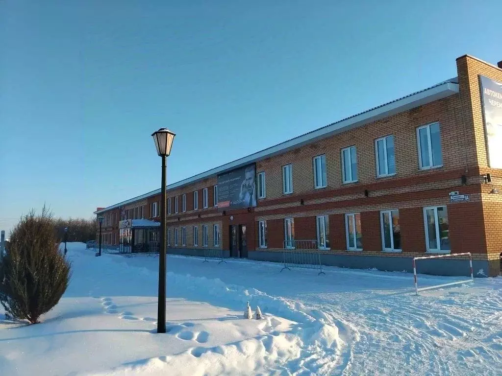 Помещение свободного назначения в Татарстан, с. Черемшан ул. ... - Фото 1