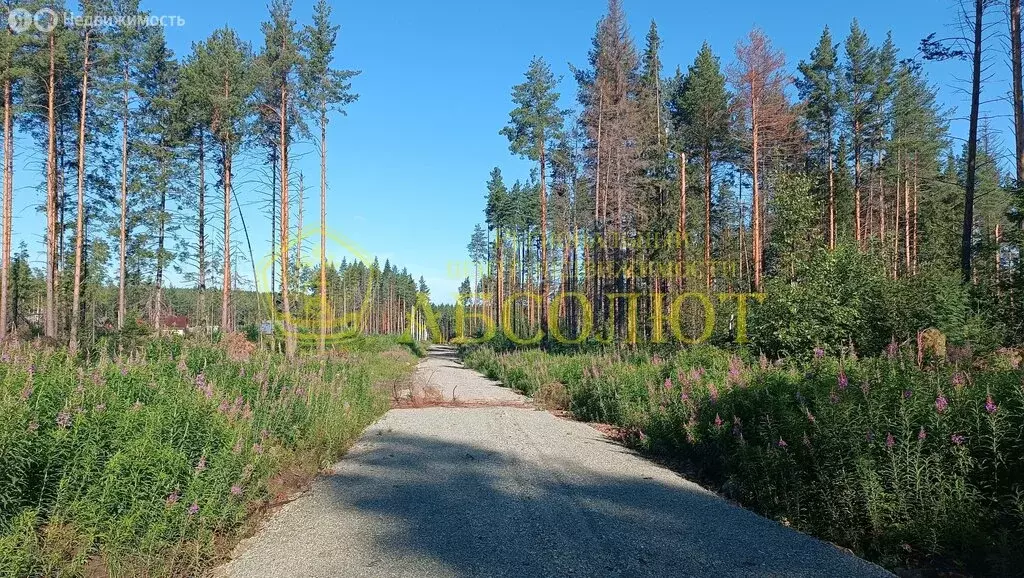 Участок в Свердловская область, Ревда (10.3 м) - Фото 1