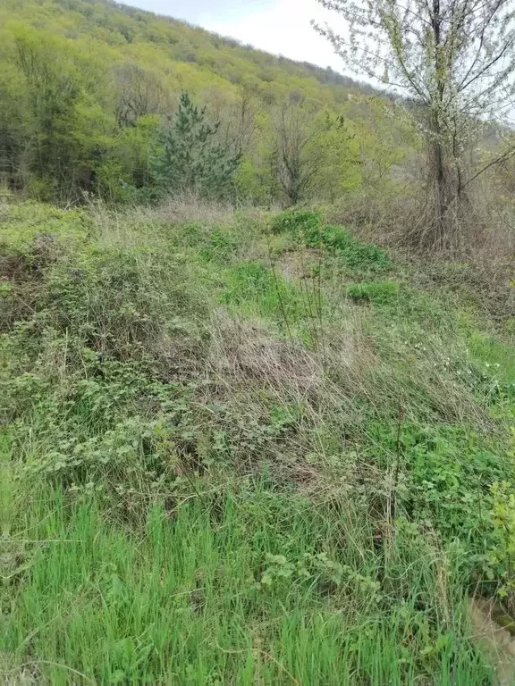 Участок в Краснодарский край, Геленджик городской округ, Строитель СТ ... - Фото 1