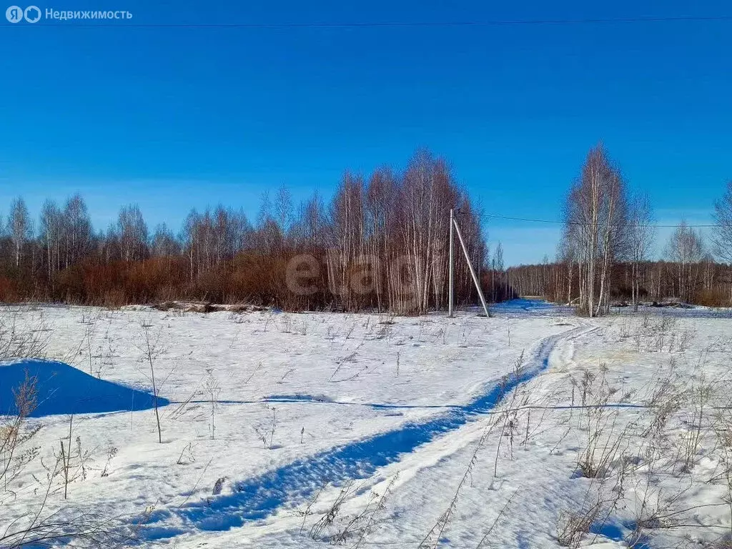 Участок в Ярославский муниципальный округ, дачное некоммерческое ... - Фото 2