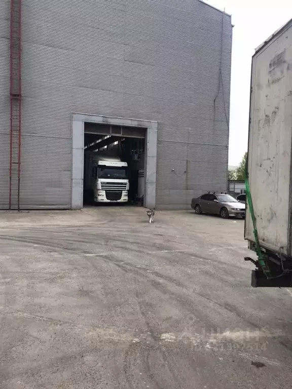 Производственное помещение в Московская область, Подольск Львовский ... - Фото 2