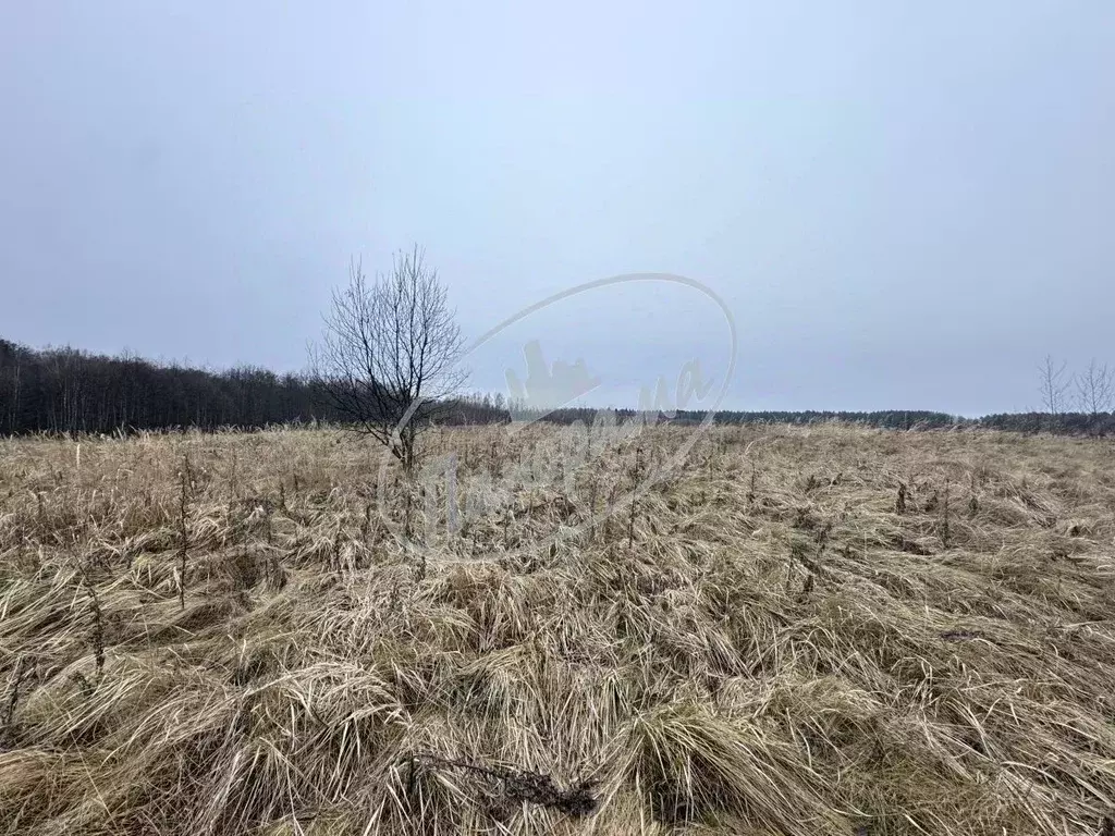 Участок в Калужская область, Юхновский муниципальный округ, ... - Фото 1