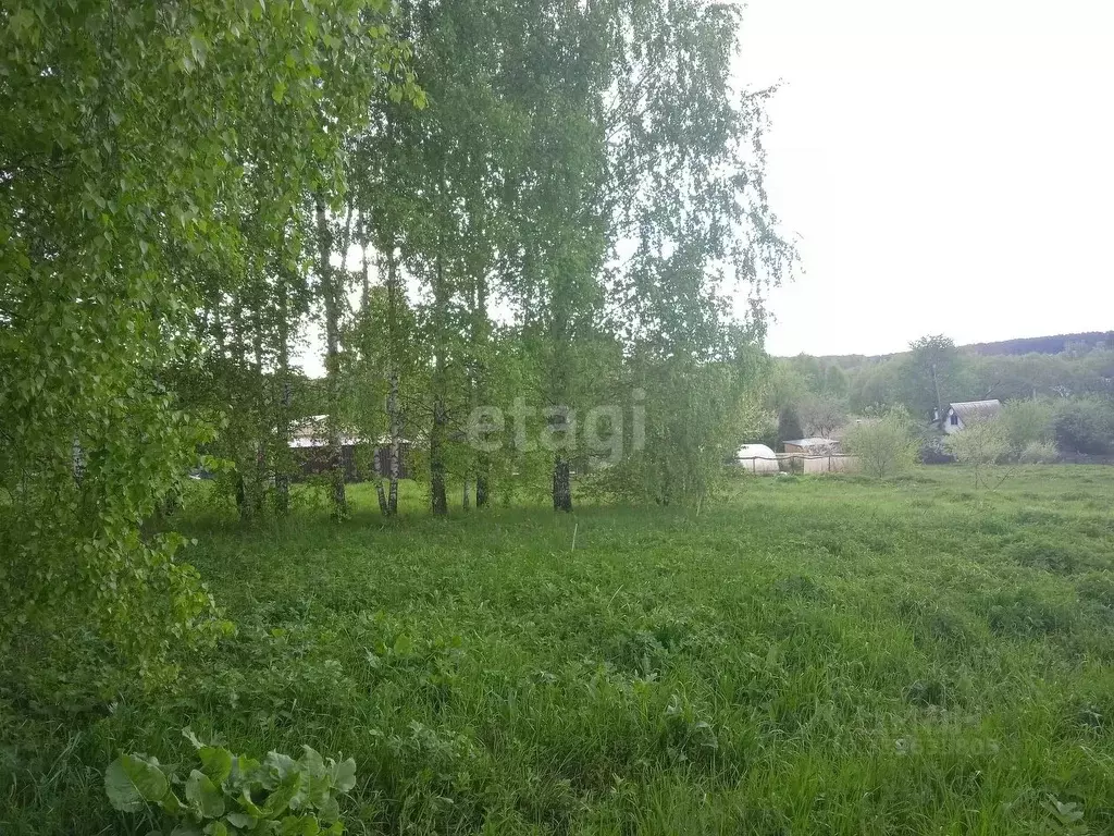 Участок в Калужская область, Дзержинский район, Льва Толстого с/пос, ... - Фото 1