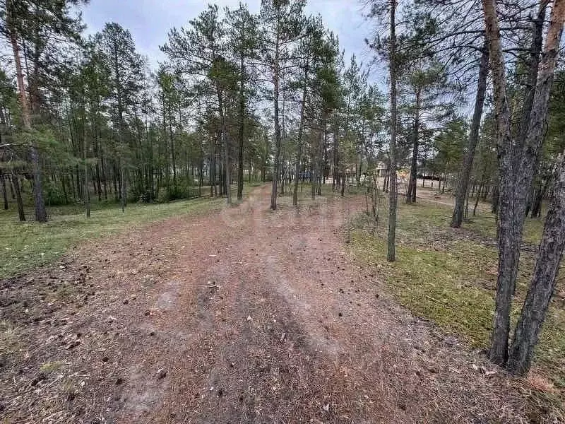 Участок в Саха (Якутия), Мегино-Кангаласский улус, Нижний Бестях пгт  ... - Фото 2