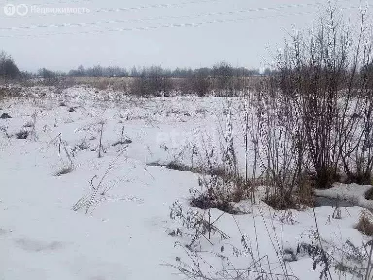 Участок в Кузнечихинское сельское поселение, деревня Якимцево (12.4 м) - Фото 0