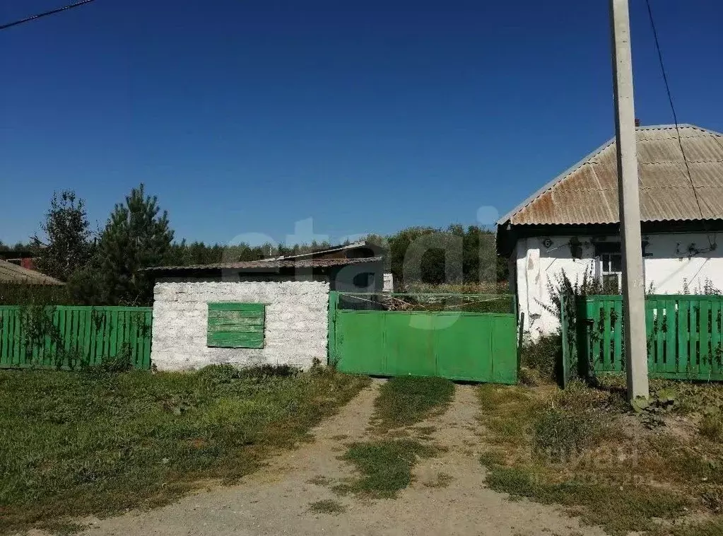 Дом в Кемеровская область, Кемеровский муниципальный округ, д. ... - Фото 1