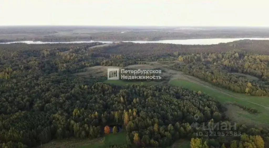 Участок в Ленинградская область, Лужский район, Осьминское с/пос, д. ... - Фото 1