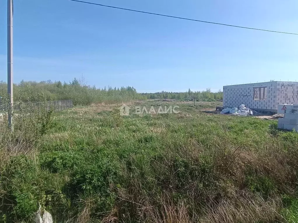 Участок в Калининградская область, Зеленоградский муниципальный округ, ... - Фото 1
