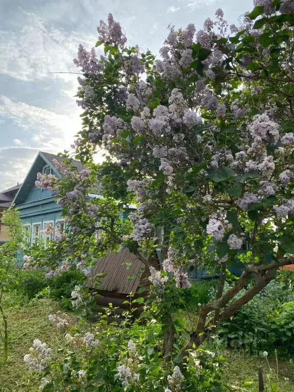 Дом, 60 м - Фото 1