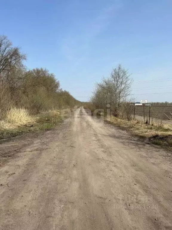 Участок в Воронежская область, с. Новая Усмань, Новая Радуга мкр  ... - Фото 0