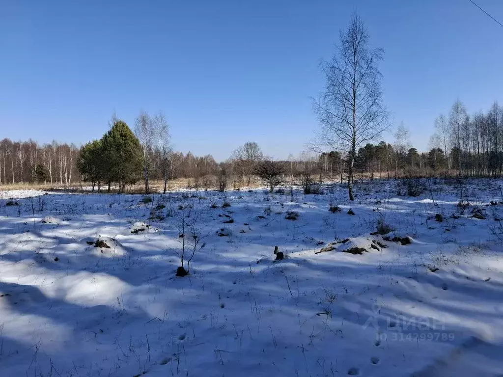 Участок в Калужская область, Малоярославецкий район, Юбилейный с/пос, ... - Фото 2