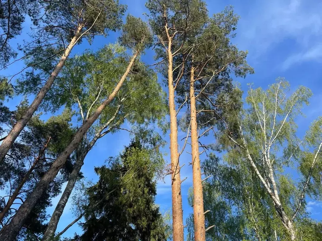 Участок в Московская область, Красногорск городской округ, д. ... - Фото 0