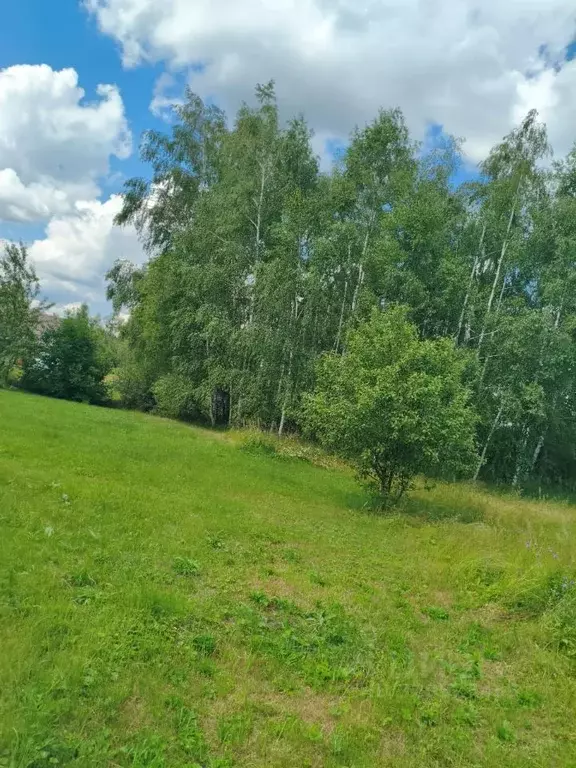 Участок в Московская область, Шатура муниципальный округ, Черусти пгт ... - Фото 1