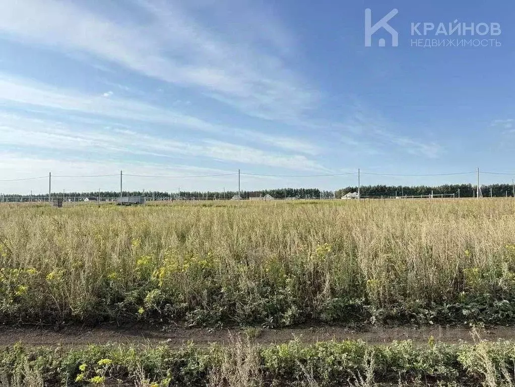 Участок в Воронежская область, Семилукский район, Стрелица рп  (10.62 ... - Фото 2